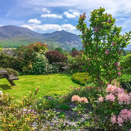 High Spy 바센스웨이트