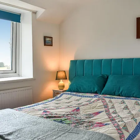 High Spy * 바센스웨이트